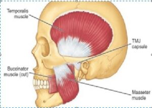 Do I have TMJ north kansas city